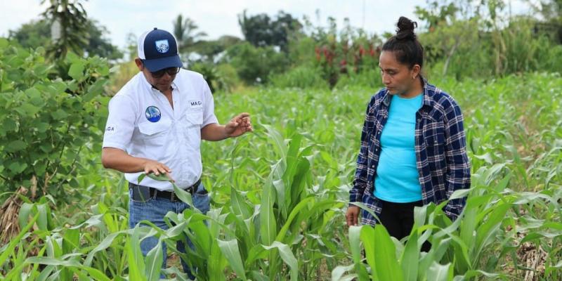 Se brindo asistencia técnica y capacitación a más de 120 mil pequeños productores