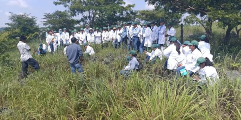 Contribuyendo con la formación agrícola de la juventud guatemalteca
