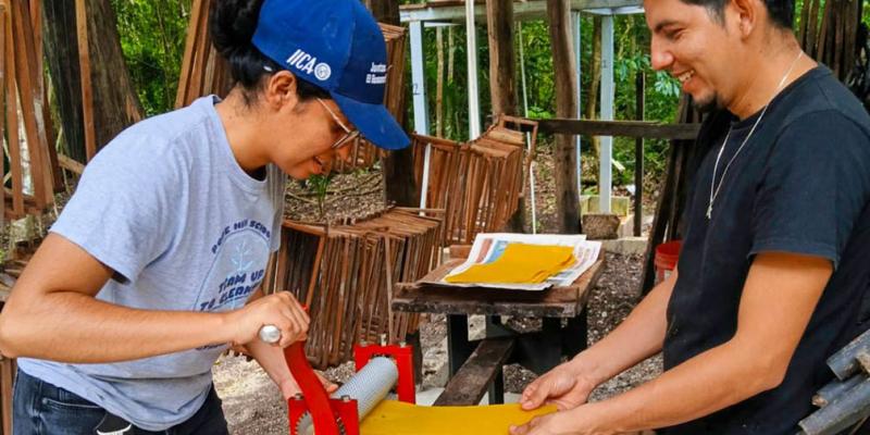 Brindan capacitación a productores de miel de Petén