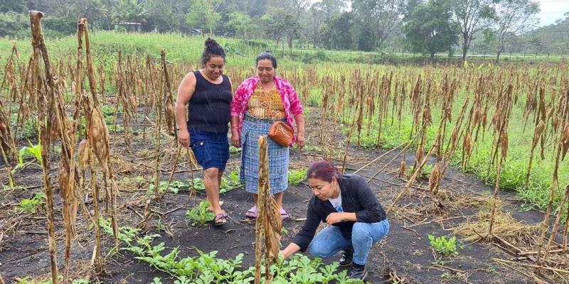 Los huertos comunitarios impulsan la agricultura familiar