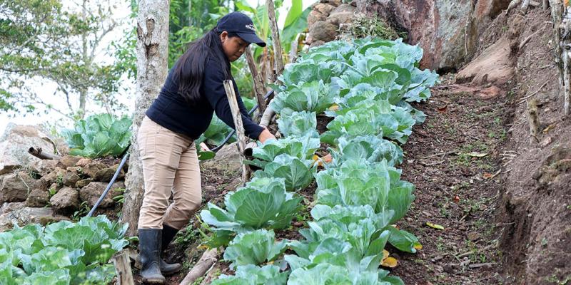 Qué es y para qué sirve la agroecología