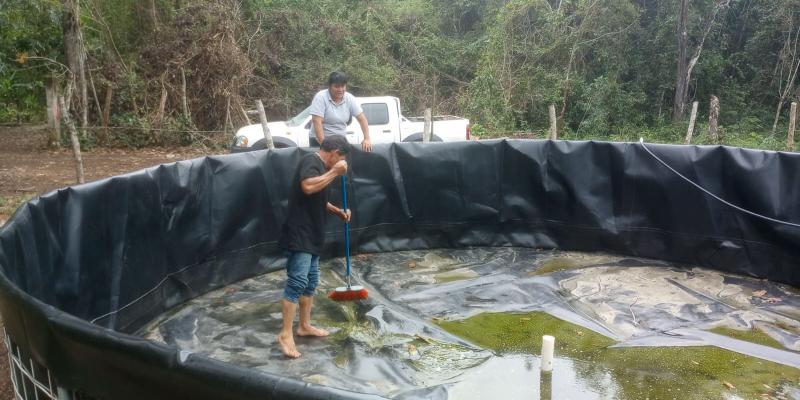 Realizan control de calidad en proyectos de Tilapia en Flores, Petén