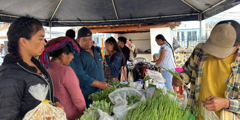 Feria del Agricultor impulsa la producción de Quiché