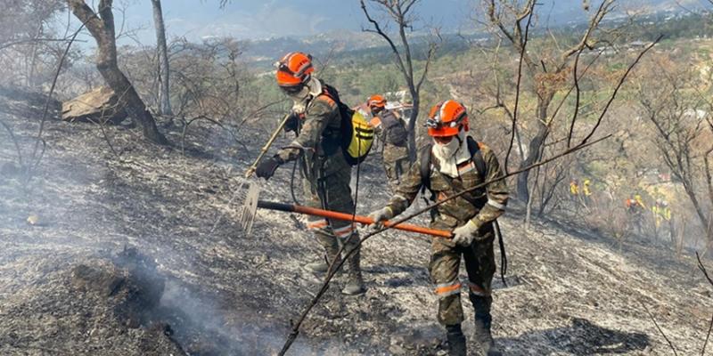 121 incendios forestales liquidados con el apoyo del Ejército de Guatemala durante el 2025.