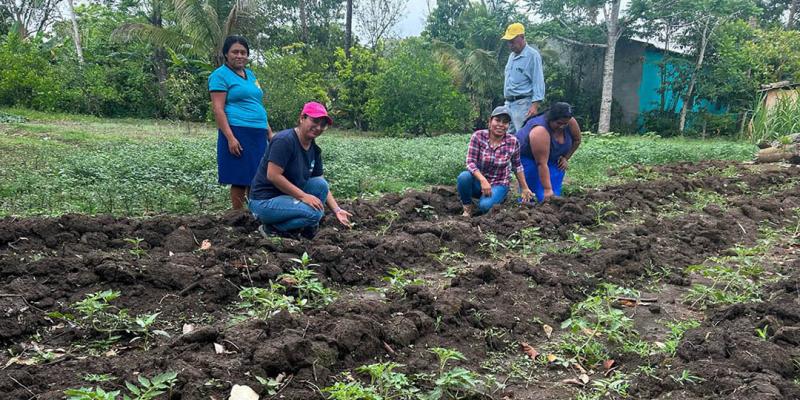 Mujeres de Santo Domingo, Poptún, reciben pilones de hortalizas