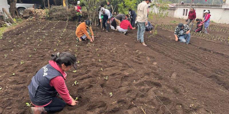 Huertos escolares y comunales fortalecen agricultura familiar en San Marcos