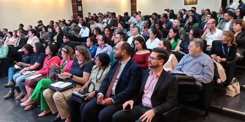Talleres para fortalecer los procesos de formulación de los planes estratégicos institucionales. 