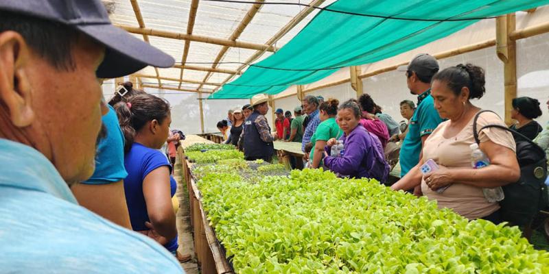 Agricultores de Masagua fortalecen conocimientos en agricultura familiar