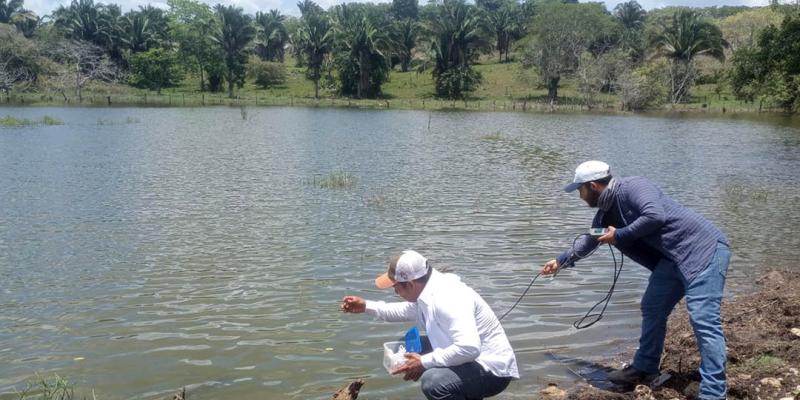 Evalúan áreas para cultivo de tilapia en Santa Ana, Petén