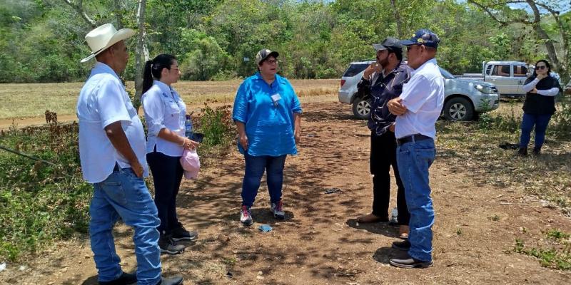 Refuerzan acciones para el control del Gusano Barrenador del Ganado en Petén