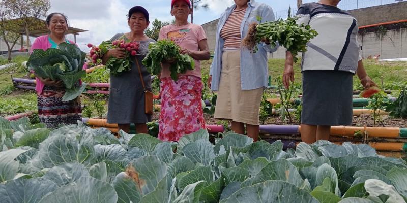 AGROVIDA en acción: mujeres cultivan, venden y ahorran para un mejor mañana