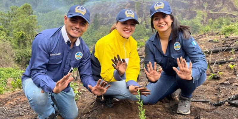 reforestacion
