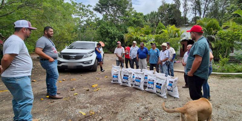Agricultores de El Progreso reciben semillas de maíz de alto rendimiento 