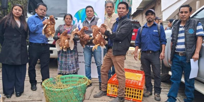 Beneficiarios del CADER reciben gallinas ponedoras