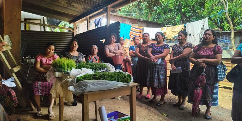 Con semillas y pilones se apoya producción agrícola de San Pedro Sacatepéquez