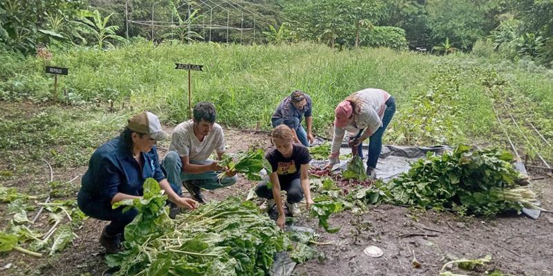Agricultura y educación impulsan desarrollo del pueblo digno en El Progreso