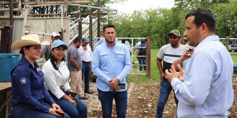 Proyectos de cacao, frutales y ganadería sostenible marcan agenda del MAGA en Petén