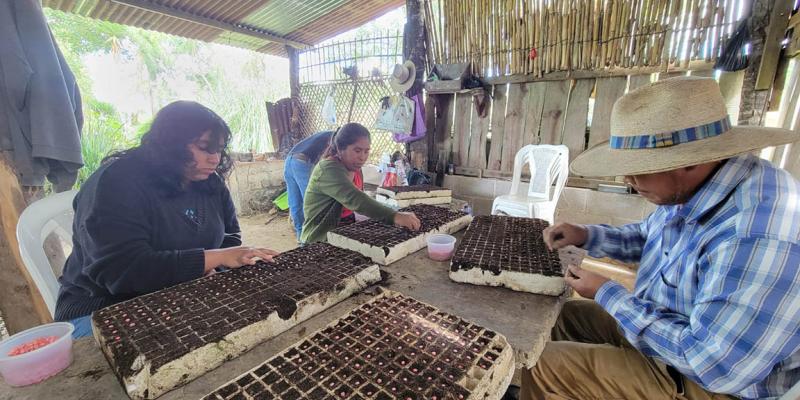 Agricultores capacitados en técnicas de protección de cultivos