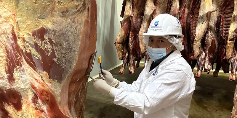 Emiten más de 600 licencias sanitarias para almacenamiento seguro de carne