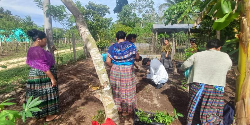 Establecen huerto comunal en la comunidad Nuevo San Francisco, Petén