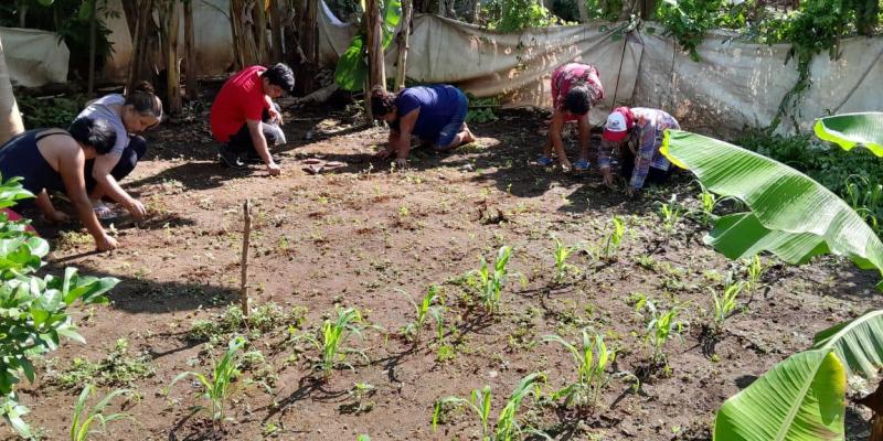 Fortalecen huerto comunal en Pajapita 