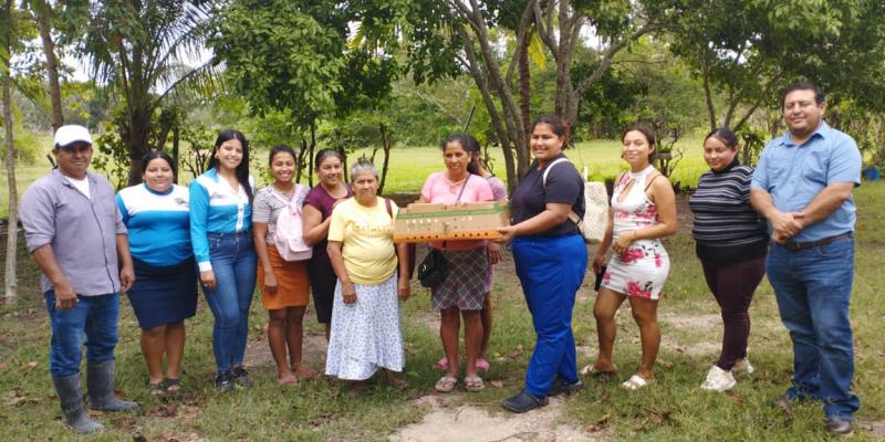 Impulsan producción avícola en Petén para combatir inseguridad alimentaria