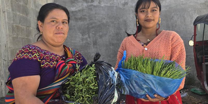 Optimizan producción y disponibilidad de alimentos en Quiché
