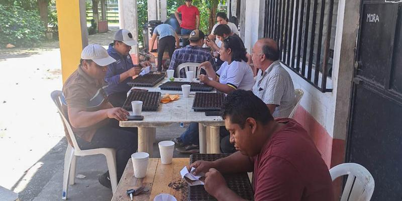 Siembran semillas de chile en bandejas para apoyar a productores de Santa Ana