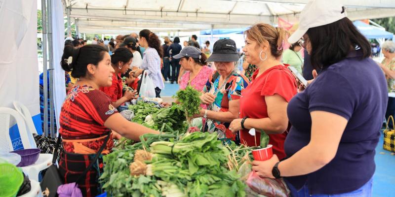 Venga al Campo Marte y descubra los sabores del huerto en la Feria del Agricultor