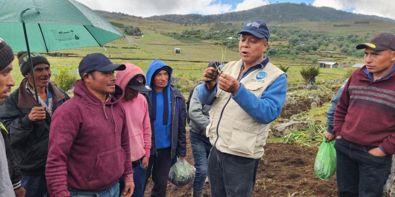 Huertos familiares fortalecen la seguridad alimentaria en Huehuetenango