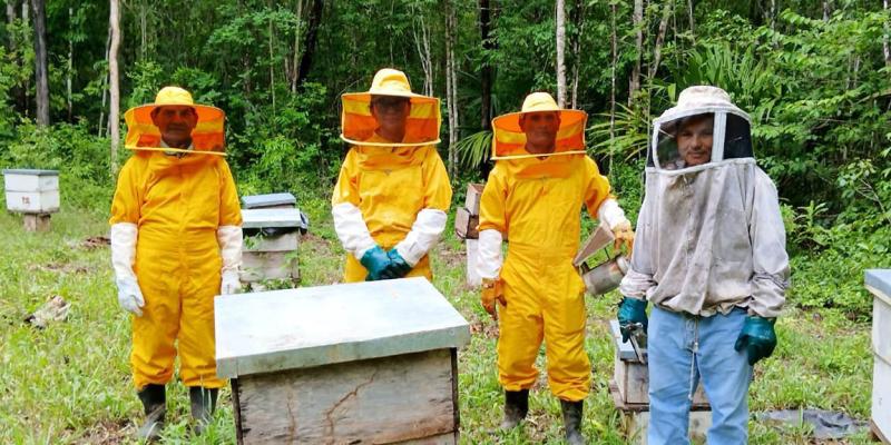 Apicultores de San Andrés, Petén gestionan su registro apícola