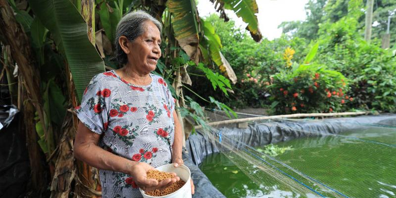 El estanque que brinda sustento y desarrollo en Masagua