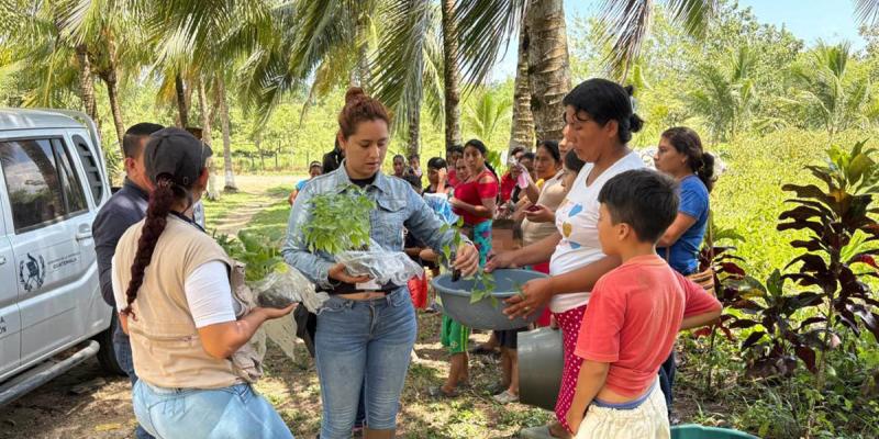 Entrega de pilones impulsa la agricultura familiar en Izabal