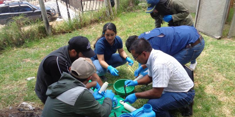 Extensionistas capacitados en el uso seguro y eficiente de los plaguicidas