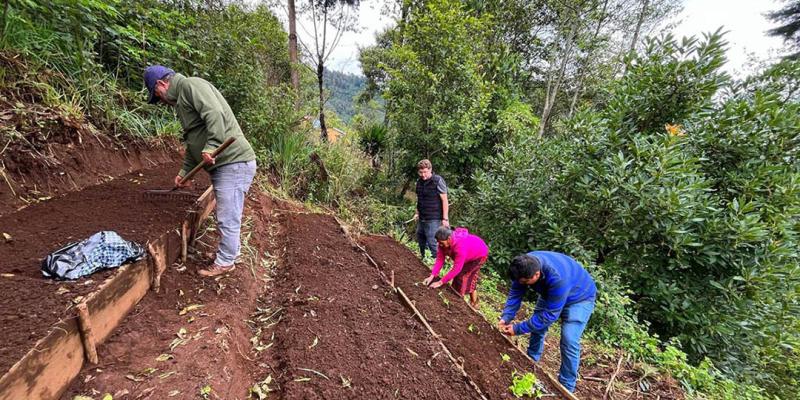Huertos productivos fortalecen medios de vida en Colotenango