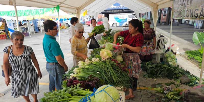 Agricultores de Coatepeque impulsan sus producciones en Feria del Agricultor