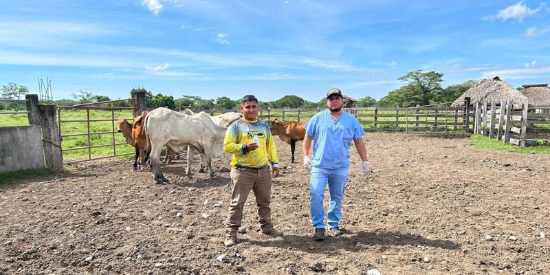 Con acciones de combate al Gusano Barrenador se fortalece la sanidad animal