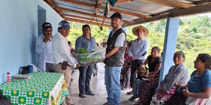 Entregan 20 mil pilones de hortalizas para huertos familiares en Jalapa