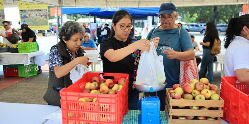 La Feria del Agricultor llega a Bárcena este martes