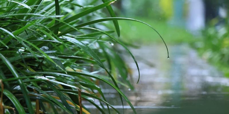 Alerta agropecuaria por saturación en suelos y persistencia de lluvias