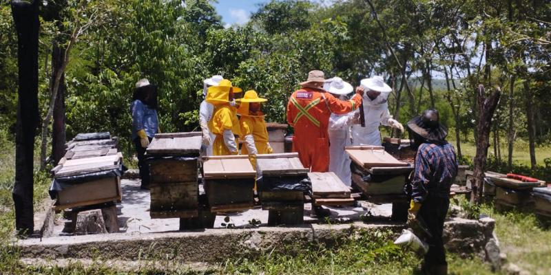 Finaliza diplomado en Turismo Apícola Comunitario