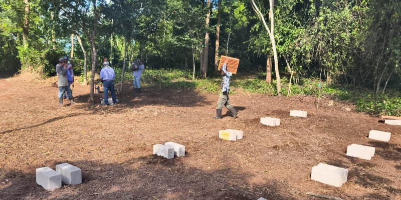 Impulsan la formación apícola en Petén