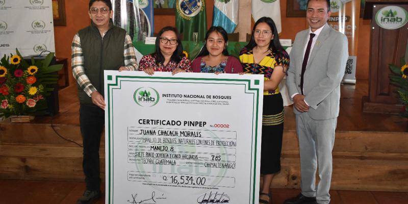 Incentivos forestales promueven conservación de los bosques