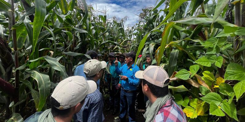 Instruyen en transferencia de tecnología a integrantes del CADER de Quetzaltenango 
