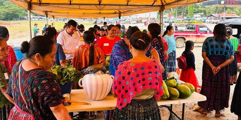 Más de 100 productores acudieron a Feria del Agricultor de Alta Verapaz