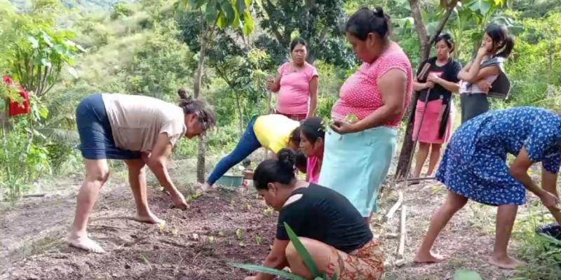 Sistema de riego fortalece la producción agrícola en Jocotán