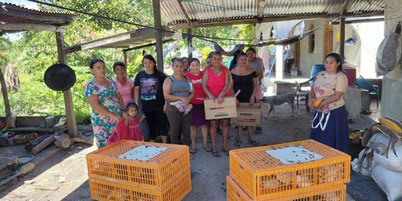 Entrega de gallinas ponedoras fortalece producción familiar en Santa Ana