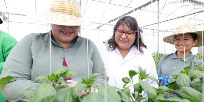 Muestran protocolos de bioseguridad en productora de semillas de exportación