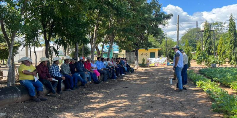 Optimizan habilidades de agricultores en manejo de granos básicos y cultivos extensivos