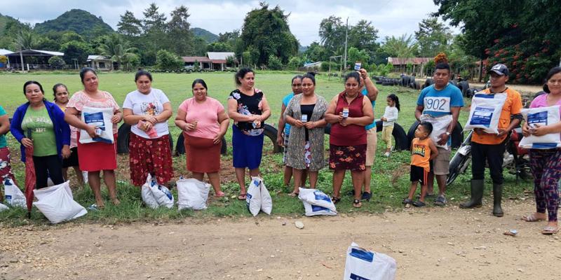 Productores de Petén impulsan la autosuficiencia con semillas de maíz y ayote